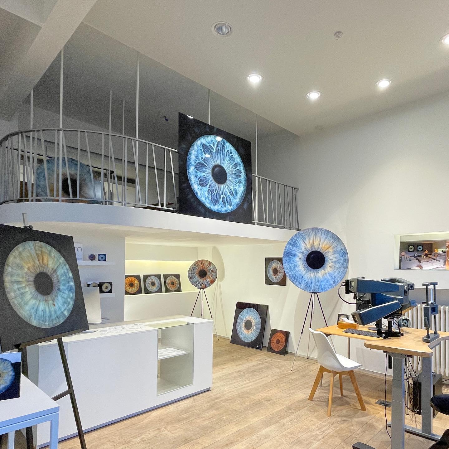 irisphoto_knokke