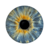 1 iris - UNO – Image 2