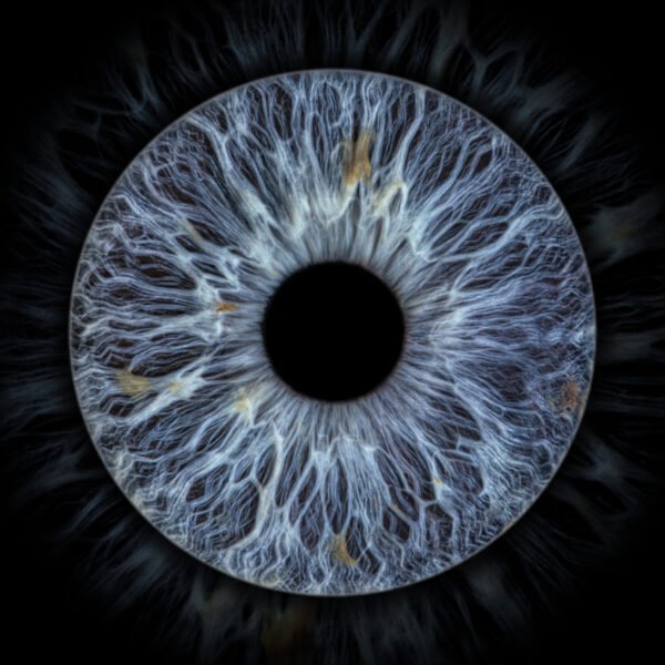 1 iris - UNO