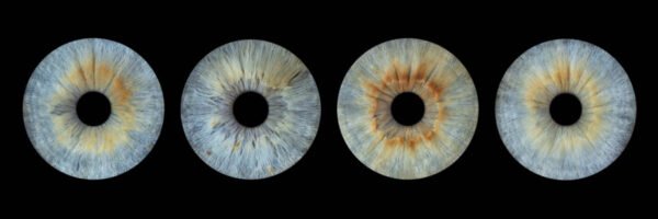 4 iris - QUATUOR – Image 6