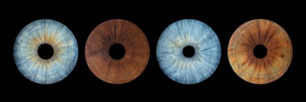 4 iris - QUATUOR – Image 4