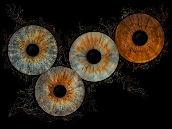 4 iris - QUATUOR – Image 2