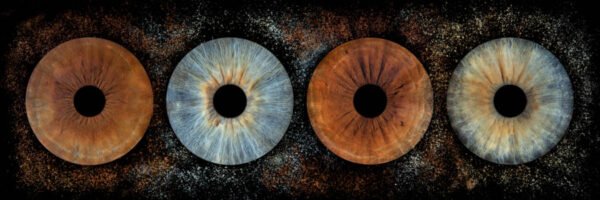 4 iris - QUATUOR – Image 3