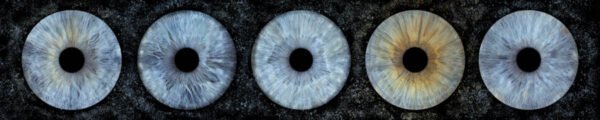 5 iris - QUINTET – Image 8