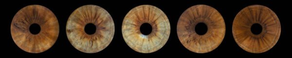 5 iris - QUINTET – Image 7