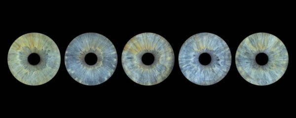 5 iris - QUINTET – Image 6