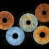 5 iris - QUINTET