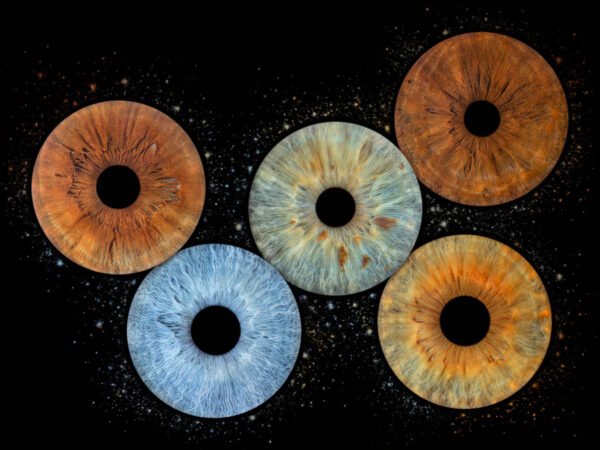 5 iris - QUINTET