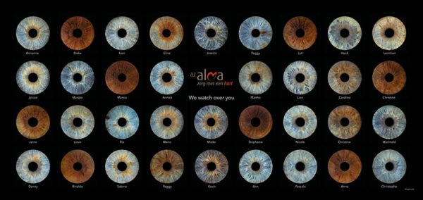 6 iris et plus – Image 4
