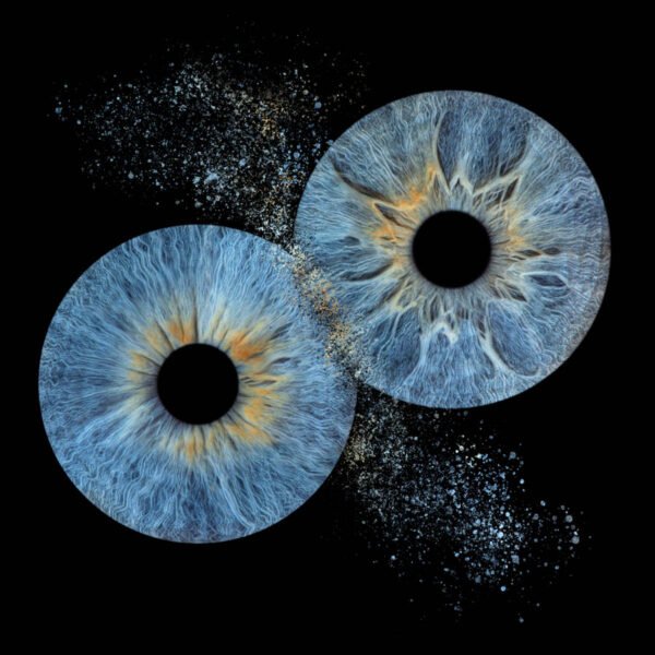 2 iris - DUO – Image 6