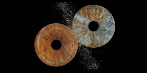 2 iris - DUO – Image 5
