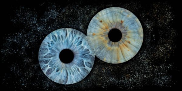 2 iris - DUO – Image 3