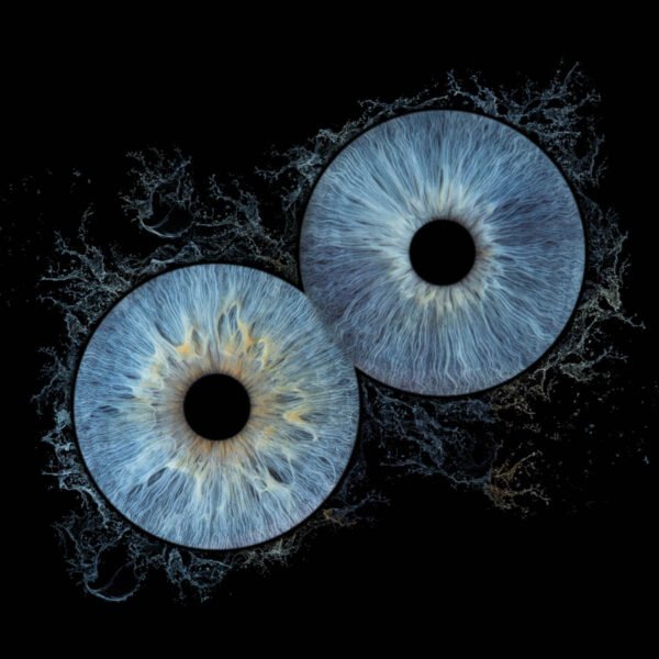 2 iris - DUO