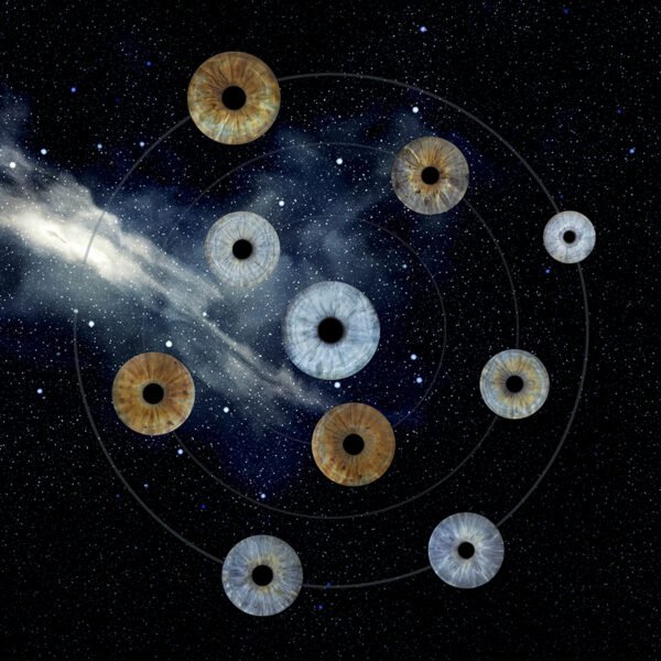 6 iris et plus – Image 5