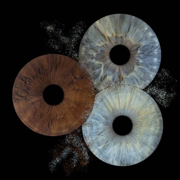 3 iris - TRIO
