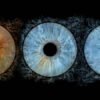 3 iris - TRIO – Image 5