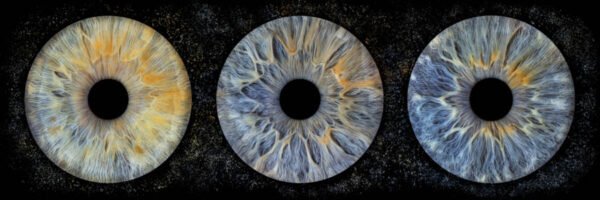 3 iris - TRIO – Image 4