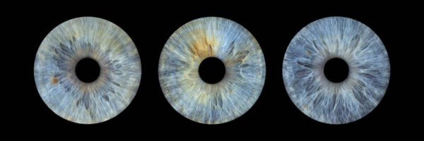 3 iris - TRIO – Image 2
